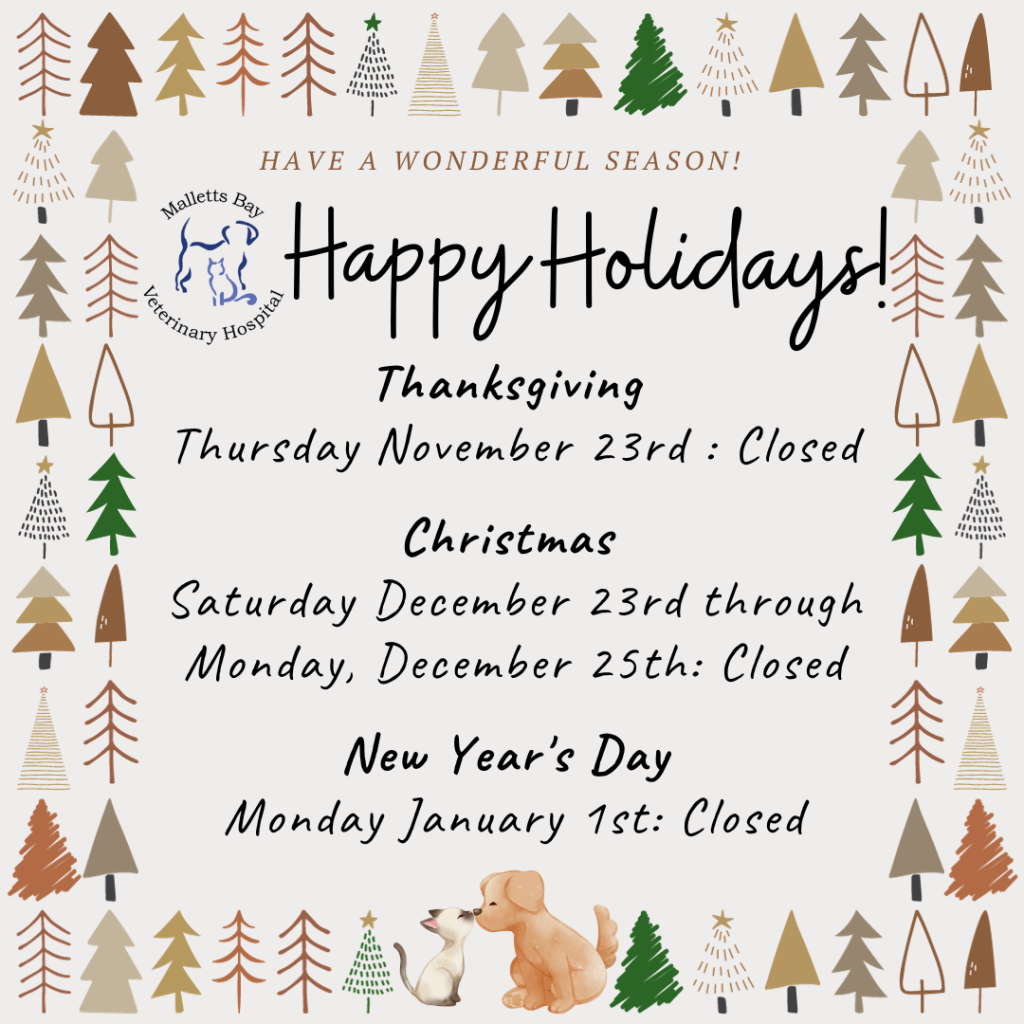 Veterinary Hospital in Colchester, VT Malletts Bay Veterinary Hospital