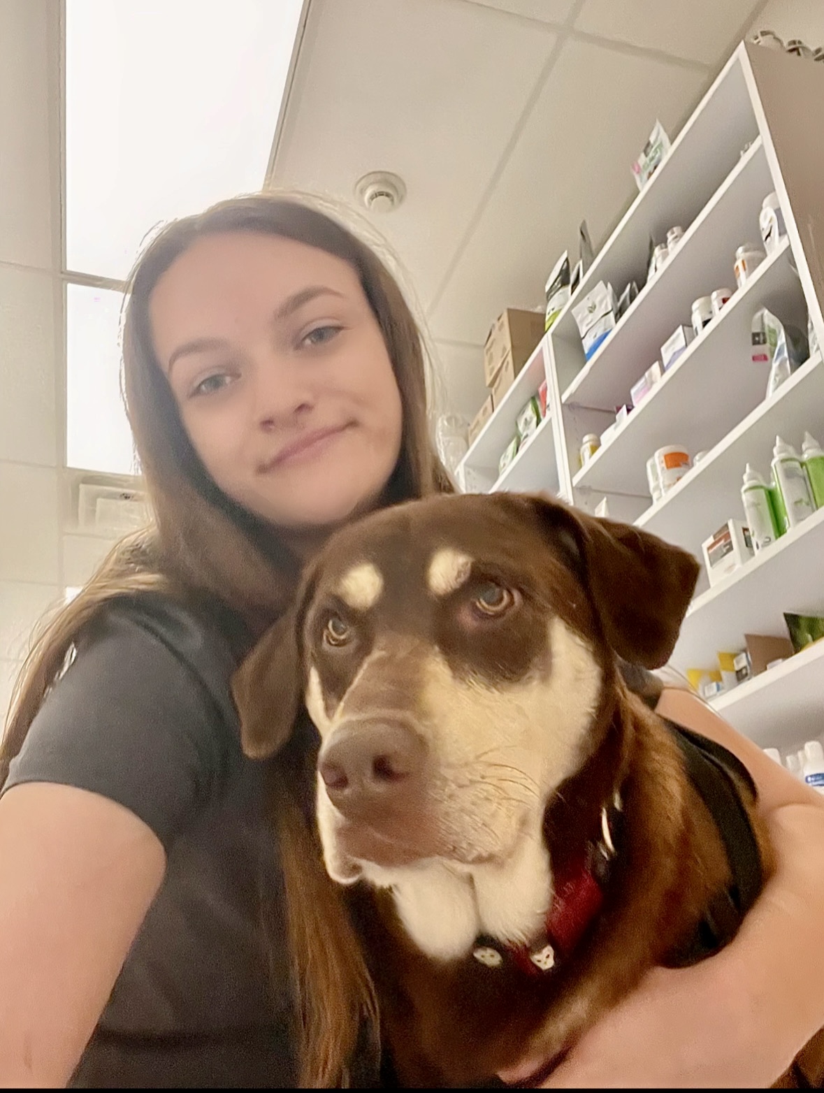 Veterinary Support Staff in Colchester, VT Malletts Bay Veterinary